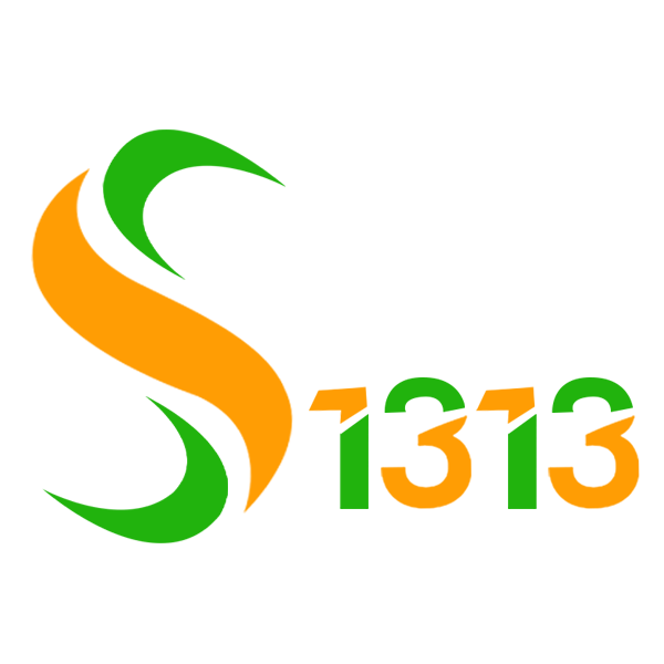 Solution1313 - SEO Company